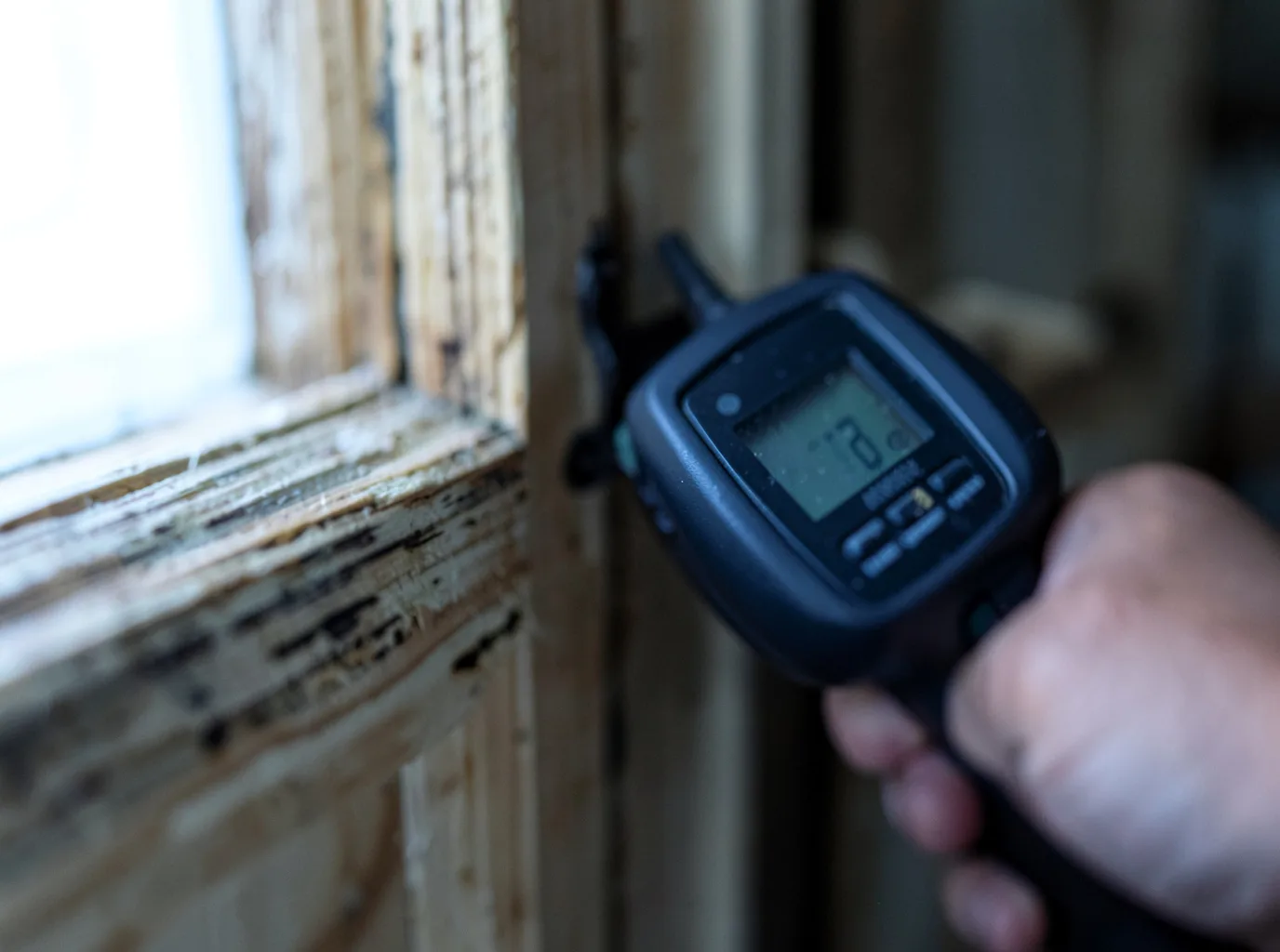 Moisture Inspection And Documentation in Carlisle, SC